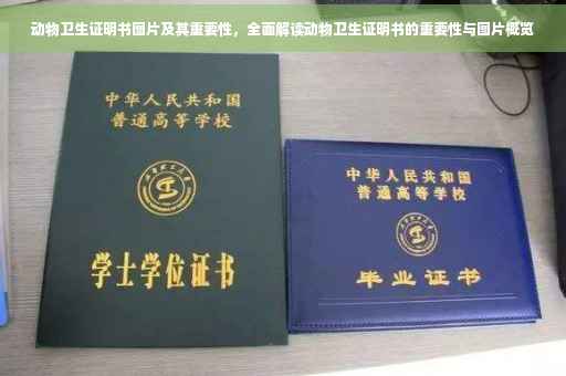 动物卫生证明书图片及其重要性，全面解读动物卫生证明书的重要性与图片概览