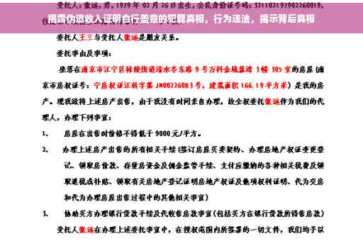 揭露伪造收入证明自行盖章的犯罪真相，行为违法，揭示背后真相