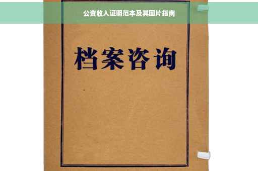 公资收入证明范本及其图片指南