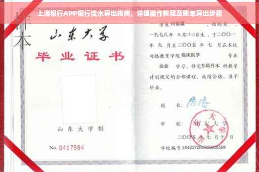 上海银行APP银行流水导出指南，详细操作教程及账单导出步骤