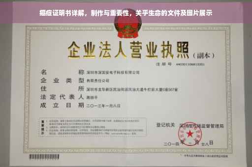 癌症证明书详解，制作与重要性，关乎生命的文件及图片展示