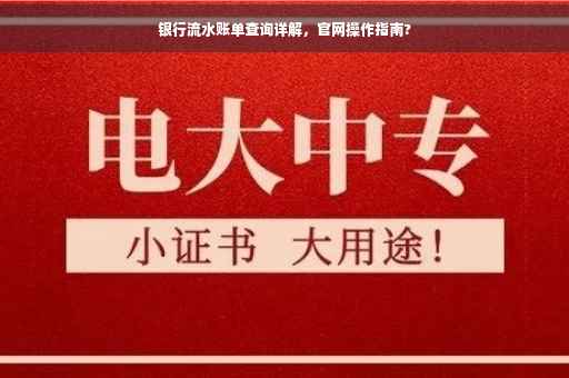 银行流水账单查询详解，官网操作指南?