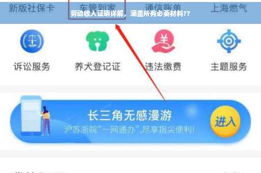 劳动收入证明详解，涵盖所有必要材料??