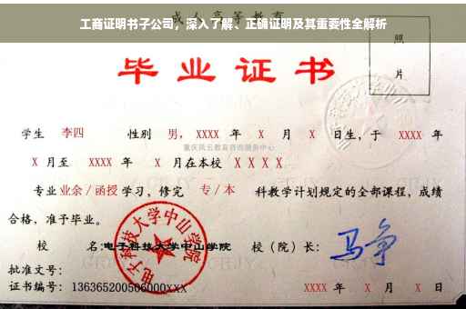 工商证明书子公司，深入了解、正确证明及其重要性全解析