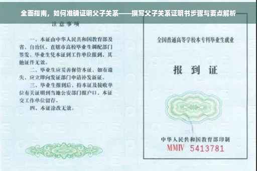 全面指南，如何准确证明父子关系——撰写父子关系证明书步骤与要点解析