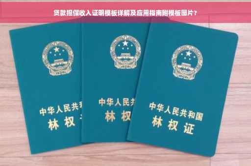 贷款担保收入证明模板详解及应用指南附模板图片?