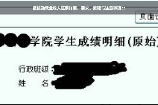 戴姆勒就业收入证明详解，要求、流程与注意事项??