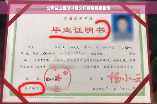 公司成立证明书范文详解及模板指南