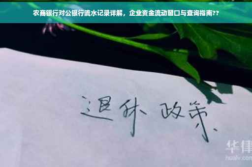 农商银行对公银行流水记录详解，企业资金流动窗口与查询指南??