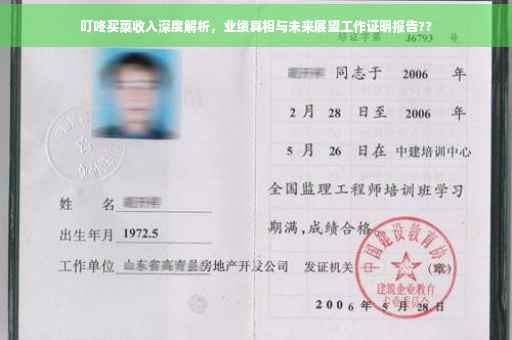 叮咚买菜收入深度解析，业绩真相与未来展望工作证明报告??