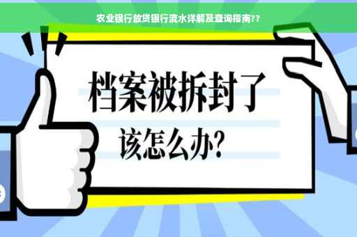 农业银行放贷银行流水详解及查询指南??