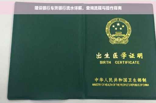 建设银行车贷银行流水详解，查询流程与操作指南