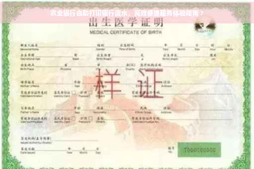 农业银行自助打印银行流水，高效便捷服务体验指南 ?