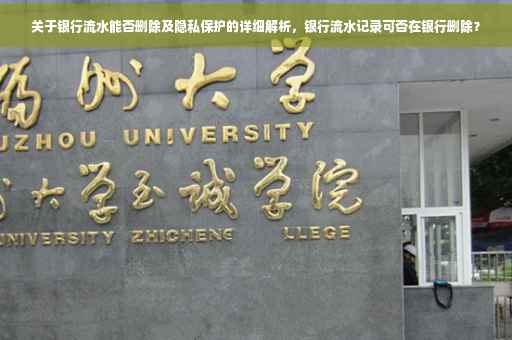 关于银行流水能否删除及隐私保护的详细解析，银行流水记录可否在银行删除？