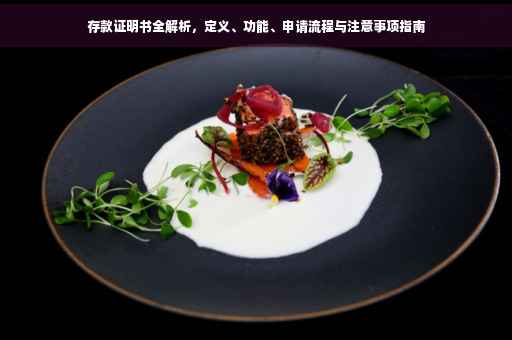 存款证明书全解析，定义、功能、申请流程与注意事项指南