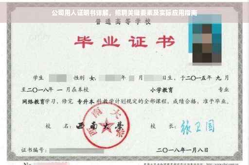 公司用人证明书详解，招聘关键要素及实际应用指南