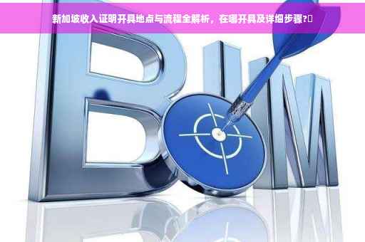 新加坡收入证明开具地点与流程全解析，在哪开具及详细步骤?✨
