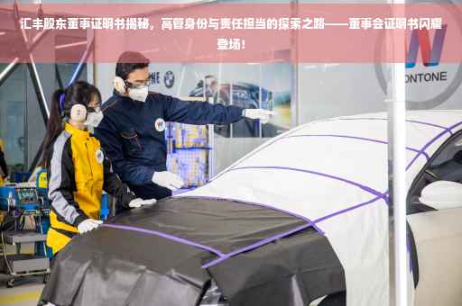 汇丰股东董事证明书揭秘，高管身份与责任担当的探索之路——董事会证明书闪耀登场！