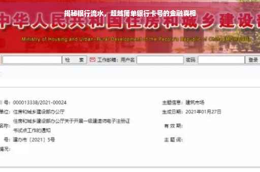 揭秘银行流水，超越简单银行卡号的金融真相