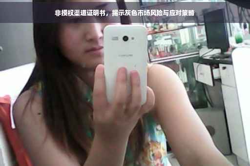 非授权渠道证明书，揭示灰色市场风险与应对策略