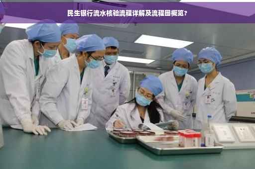 民生银行流水核验流程详解及流程图概览?