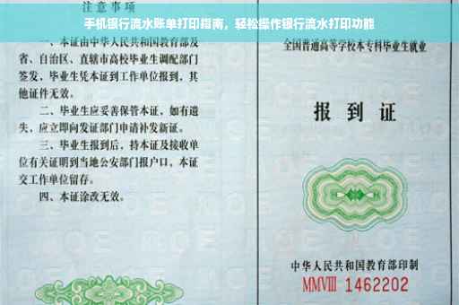 手机银行流水账单打印指南，轻松操作银行流水打印功能