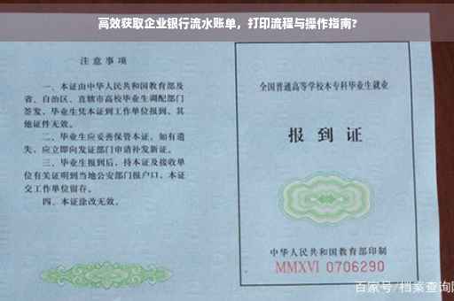 高效获取企业银行流水账单，打印流程与操作指南?