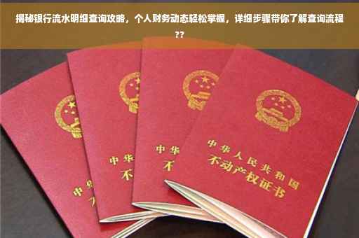 揭秘银行流水明细查询攻略，个人财务动态轻松掌握，详细步骤带你了解查询流程??
