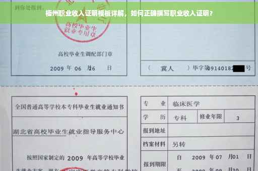 梧州职业收入证明模板详解，如何正确撰写职业收入证明？