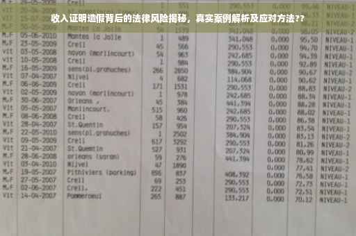 收入证明造假背后的法律风险揭秘，真实案例解析及应对方法??