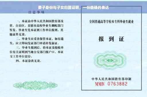 妻子身份与子女归属证明，一份精确的表达