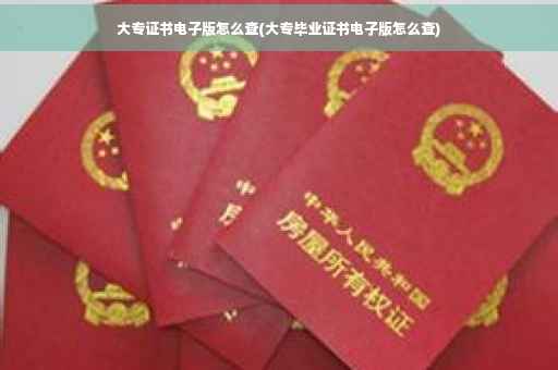 大专证书电子版怎么查(大专毕业证书电子版怎么查)