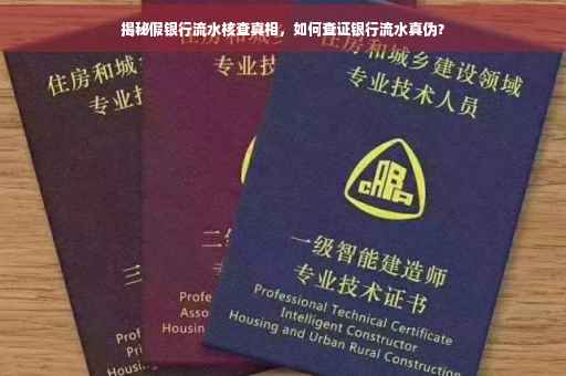 揭秘假银行流水核查真相，如何查证银行流水真伪？