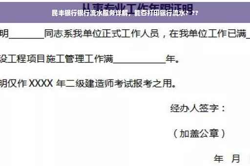 民丰银行银行流水服务详解，能否打印银行流水？??