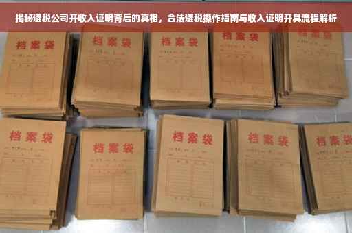 揭秘避税公司开收入证明背后的真相，合法避税操作指南与收入证明开具流程解析