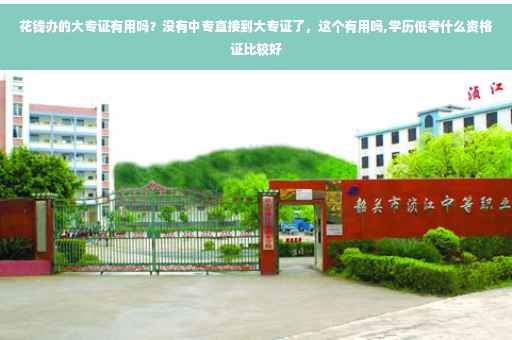 花钱办的大专证有用吗？没有中专直接到大专证了，这个有用吗,学历低考什么资格证比较好