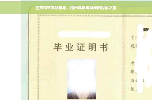 视觉错觉实验样本，揭示真相与奥秘的探索之旅