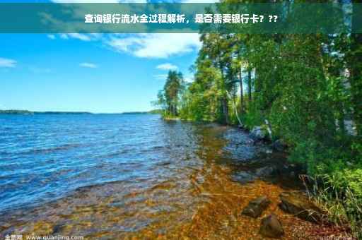 查询银行流水全过程解析，是否需要银行卡？??