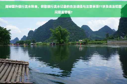 揭秘国外银行流水账单，获取银行流水记录的合法途径与注意事项??涉及违法犯罪问题需警惕?
