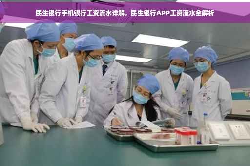 民生银行手机银行工资流水详解，民生银行APP工资流水全解析