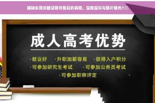 揭秘东莞诊断证明书背后的真相，深度探究与图片曝光?⚡️