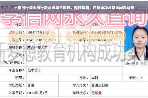 手机银行查看银行流水账单全攻略，操作指南、注意事项及常见问题解答