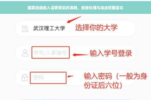 揭露伪造收入证明背后的真相，拒签处理与违法犯罪探究