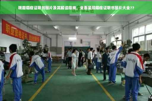 晚期癌症证明书图片及其解读指南，全面呈现癌症证明书图片大全??
