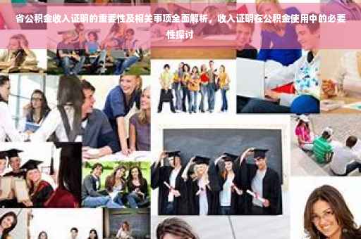 省公积金收入证明的重要性及相关事项全面解析，收入证明在公积金使用中的必要性探讨