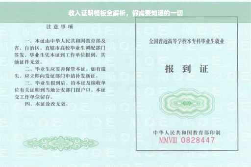 收入证明模板全解析，你需要知道的一切