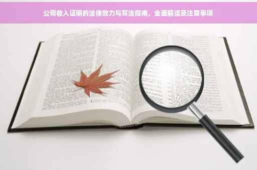 公司收入证明的法律效力与写法指南，全面解读及注意事项