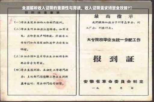 全面解析收入证明的重要性与用途，收入证明需求场景全攻略?✨