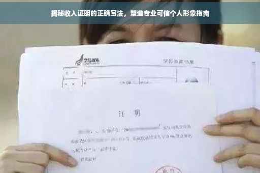 揭秘收入证明的正确写法，塑造专业可信个人形象指南
