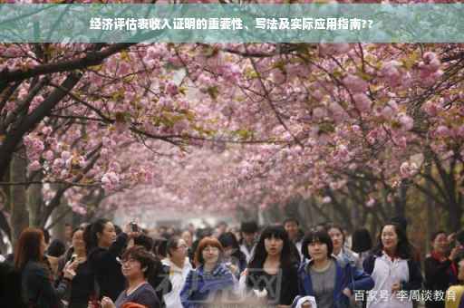 经济评估表收入证明的重要性、写法及实际应用指南??